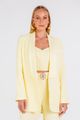 blazer sasha sunshine 01